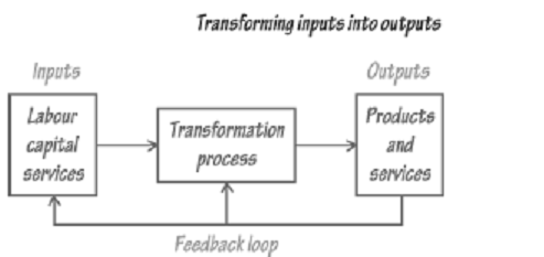 input transformation output model